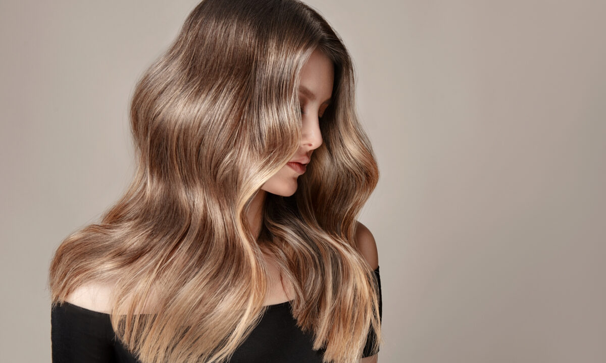 Bronde Highlights